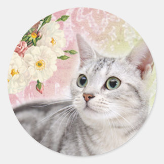 Stop met de Rozen te ruiken Ronde Sticker