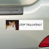 Stop met het flikkeren van katten Bumpersticker (Op auto)