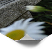 Stop met het smokkelen van de dagen poster (Hoek)