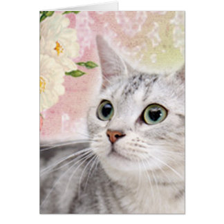 Stop met het smokkelen van de Rozen