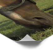 Stop met proberen om de verwachtingen van anderen  poster (Hoek)