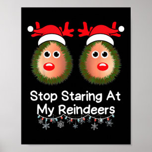Stop met staren naar mijn rendieren Grappige Kerst Poster