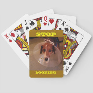 Stop met zoeken. pokerkaarten