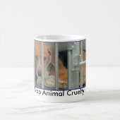 Stop Mok dierenmishandeling (Center)