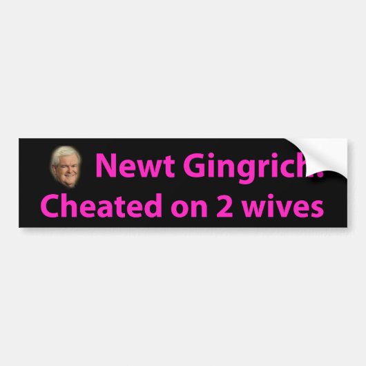 Stop Newt Gingrich! Bumpersticker (Voorkant)