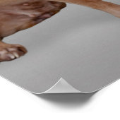 Stop nooit met het dragen van een vreemde Cute Chi Poster (Hoek)