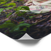 Stop nooit met het dragen van een vreemde poep in poster (Hoek)