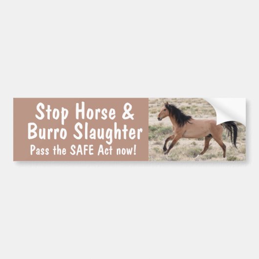 Stop Paardenslacht Bumpersticker (Voorkant)