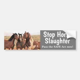 Stop Paardenslacht Bumpersticker