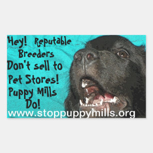 Stop Puppy Mills Magnet Rechthoekige Sticker