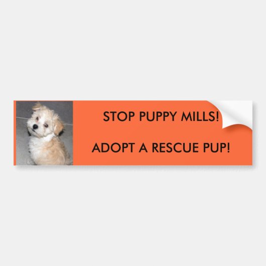 STOP PUPPY MILLS!NEEM EEN RESCUSPUP AAN... BUMPERSTICKER (Voorkant)
