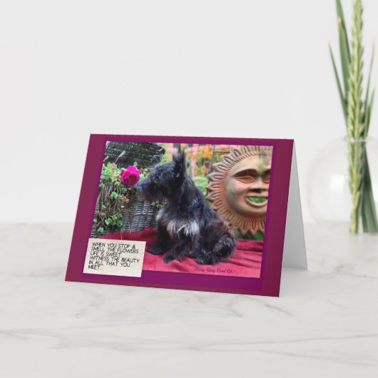 Stop & Ruik de Kaart (Voorkant)