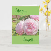 "STOP...RUIK...EN ONTHOUD HET ROOS..." KAART (Gele Bloem)