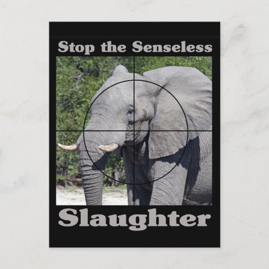 Stop slachting-olifant briefkaart (Voorkant)