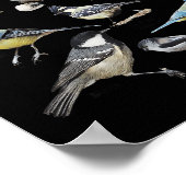 Stop Staring At My Funny Birds Lover Saying Quote  Poster (Hoek)