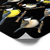 Stop Staring At My Funny Birdwatching Birds Lover Poster (Hoek)