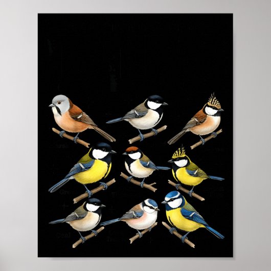 Stop Staring At My Funny Birdwatching Birds Lover Poster (Voorkant)