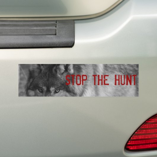 "StoP THE HUNT" Wild Wolf Bumpersticker (Op auto)