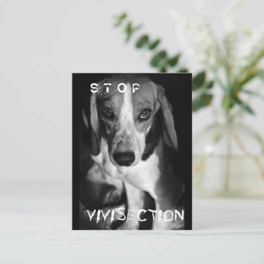 Stop vivisectie - Briefkaart (Staand voorkant)