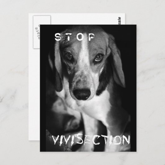 Stop vivisectie - Briefkaart (Voorkant / Achterkant)