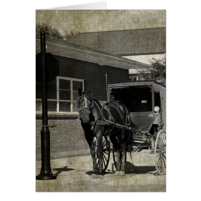 Stop voor een toverspreuk, Amish paard bij stopbor (Voorkant)