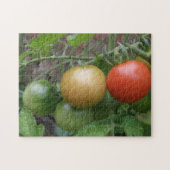 Stoplicht Tomaten Puzzel (Horizontaal)