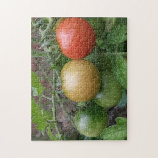 Stoplicht Tomaten Puzzel (Verticaal)