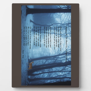 Stoppen door de Bossen door Robert Frost Fotoplaat