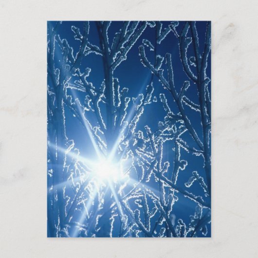 Stoppen met Bossen op een sneeuwavond Briefkaart (Voorkant)