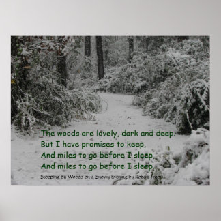 Stoppen met Bossen sneeuw Poster