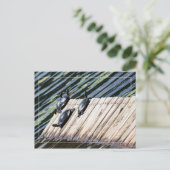 Stoppen met draaien briefkaart (Staand voorkant)