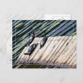 Stoppen met draaien briefkaart (Voorkant / Achterkant)