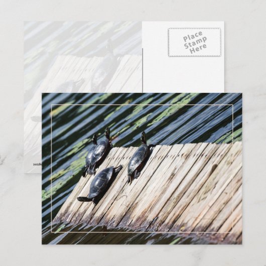 Stoppen met draaien briefkaart (Voorkant / Achterkant)