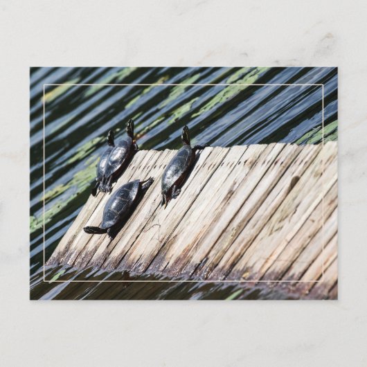 Stoppen met draaien briefkaart (Voorkant)