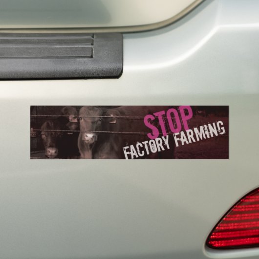 Stoppen van de fabriekslandbouw - Roze Bumpersticker (Op auto)
