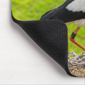 Storch im Nest mit Küken Muismat (Hoek)