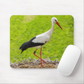 Storch im Nest mit Küken Muismat (Met muis)