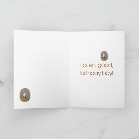 Stork Art Birthday Kaart (in aqua) (Binnen)