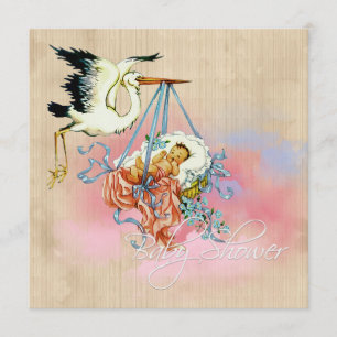 Stork Baby Boy Shower Kaart