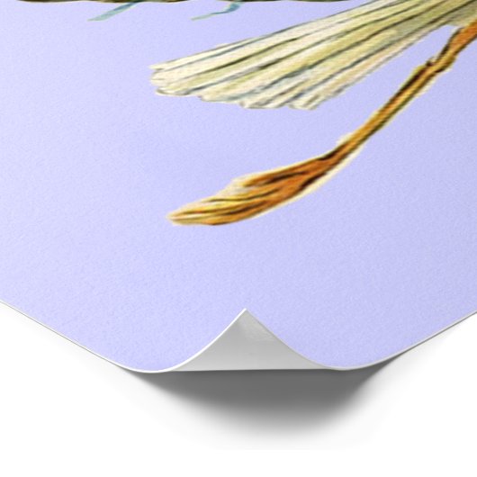 STORK BABY BOY SHOWER, turquase Poster (Hoek)