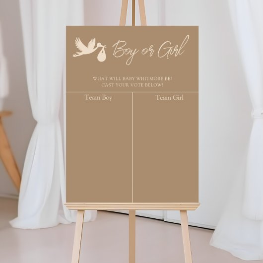 Stork Baby Delivery Gender Reveal Prediction Poster