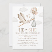 Stork Baby Delivery hij of zij gender reveal party Kaart (Voorkant)