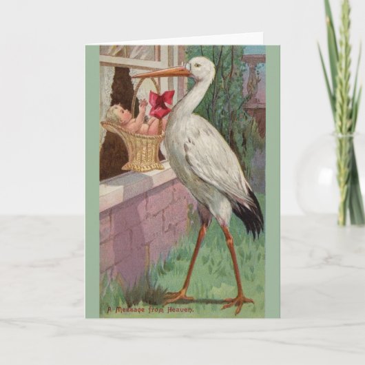  Stork Baby Delivery Wenskaart Kaart (Voorkant)