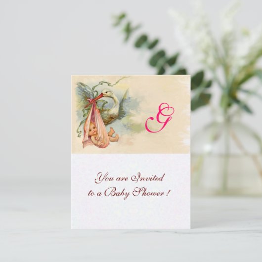 STORK BABY GIRL SHOWER MONOGRAM KAART (Staand voorkant)