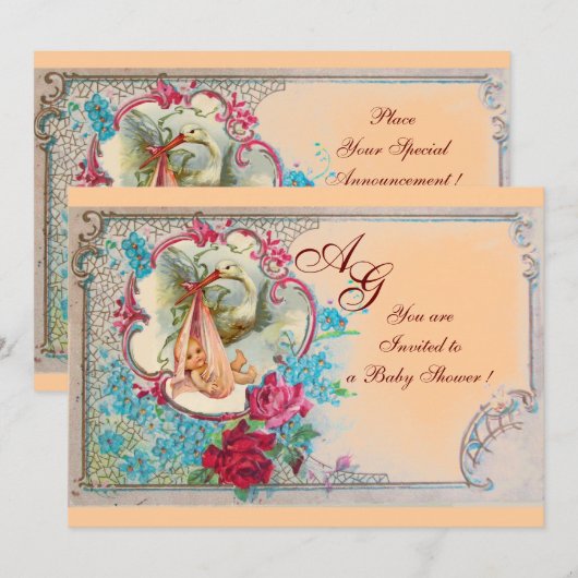 STORK BABY GIRL SHOWER PINK BLAUWE MONOGRAM KAART (Voorkant / Achterkant)