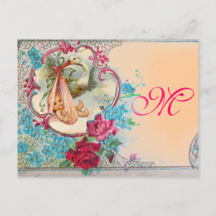 STORK BABY GIRL SHOWER PINK BLUE FLORAL MONOGRAM UITNODIGING BRIEFKAART