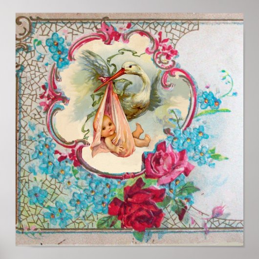 STORK BABY GIRL SHOWER POSTER (Voorkant)