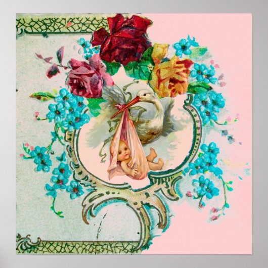 STORK BABY GIRL SHOWER POSTER (Voorkant)