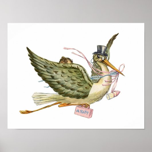STORK BABY GIRL SHOWER POSTER (Voorkant)