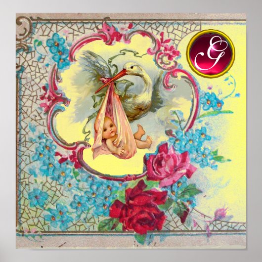 STORK BABY GIRL SHOWER Ruby Gem Stone Monogram Poster (Voorkant)